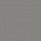 Noble Cashmere
