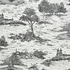 Central Park Toile