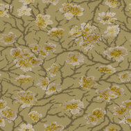 Cherry Blossom