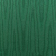 Bosque Moire