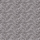 Zebra Strie Velvet