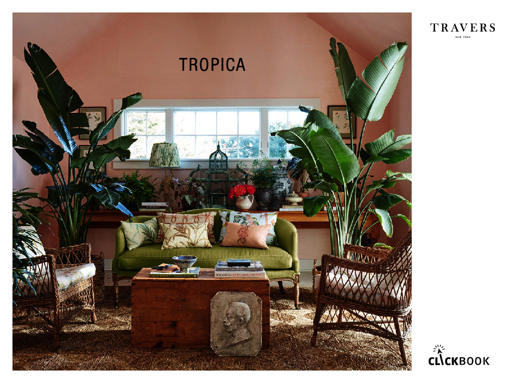 Clickbook - Tropica