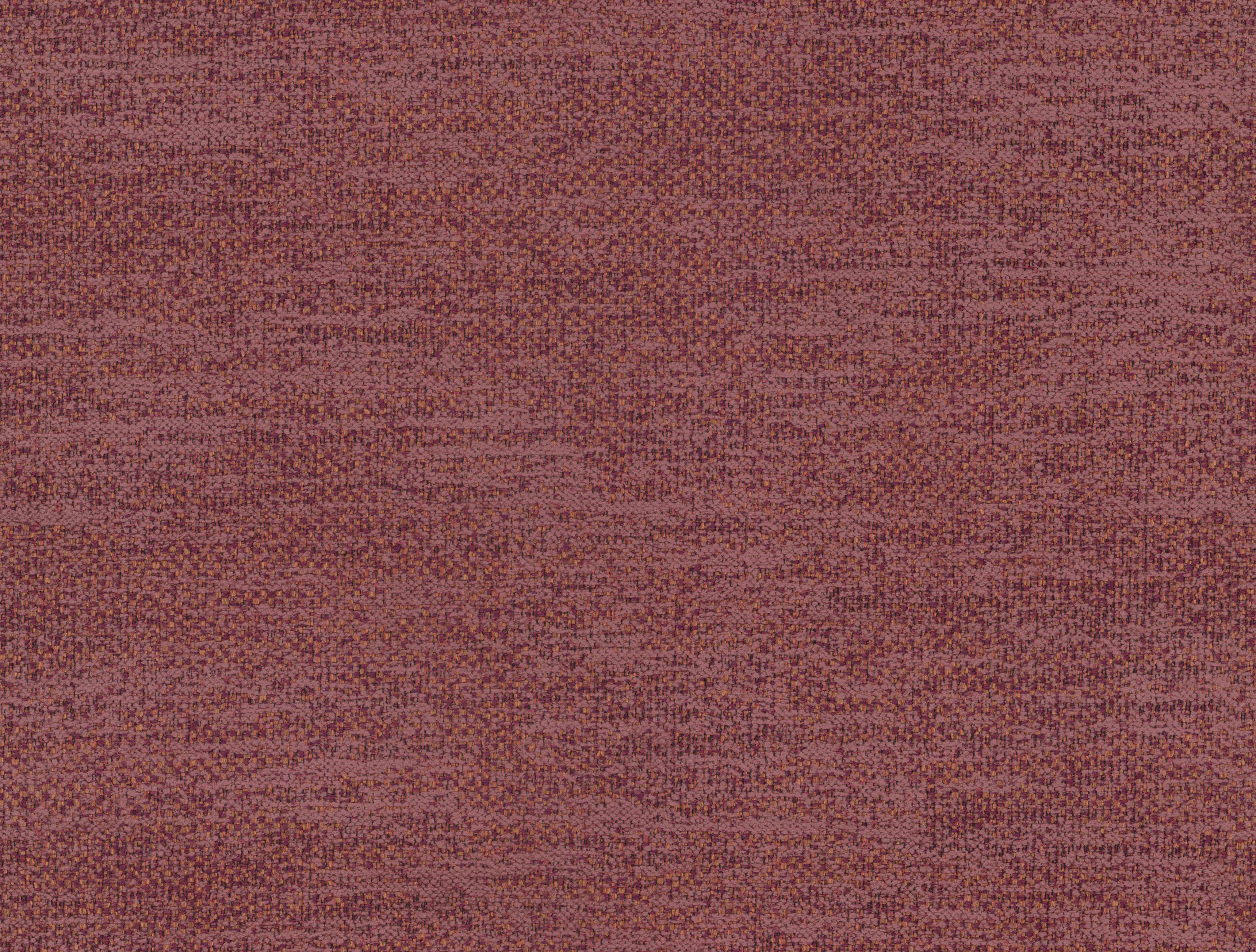 Tinto – 425