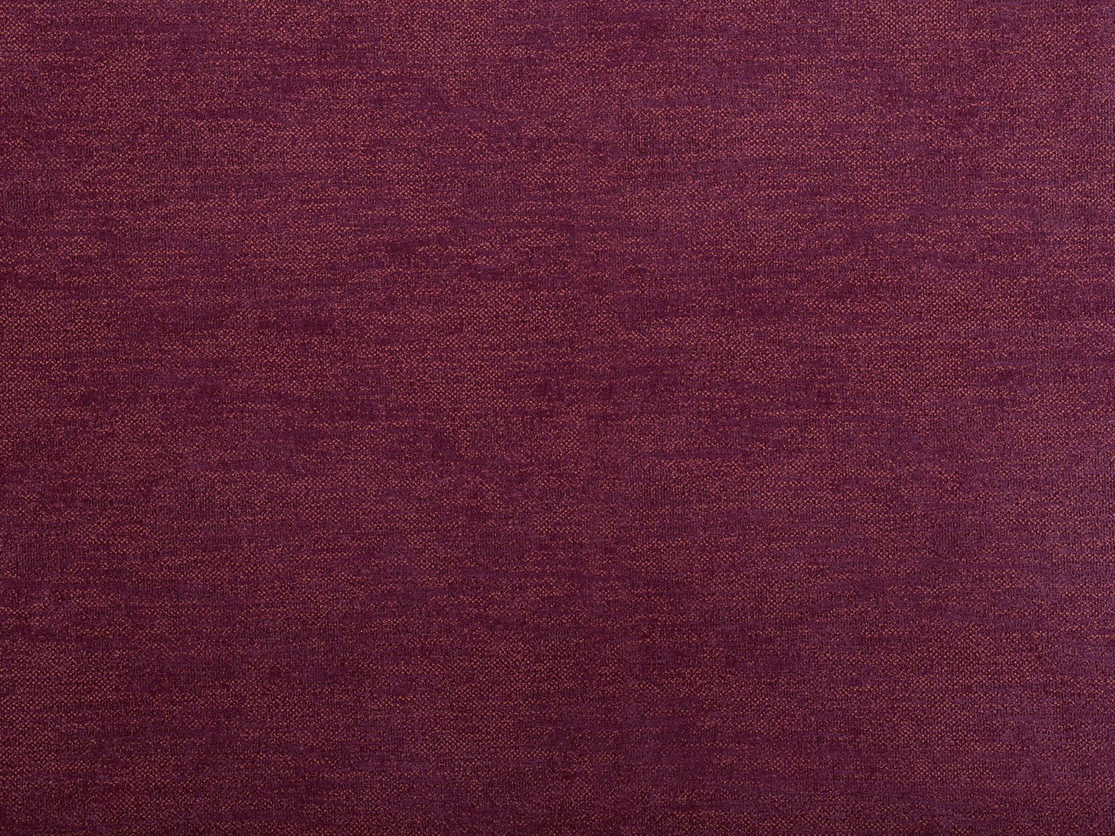 Tinto – 426