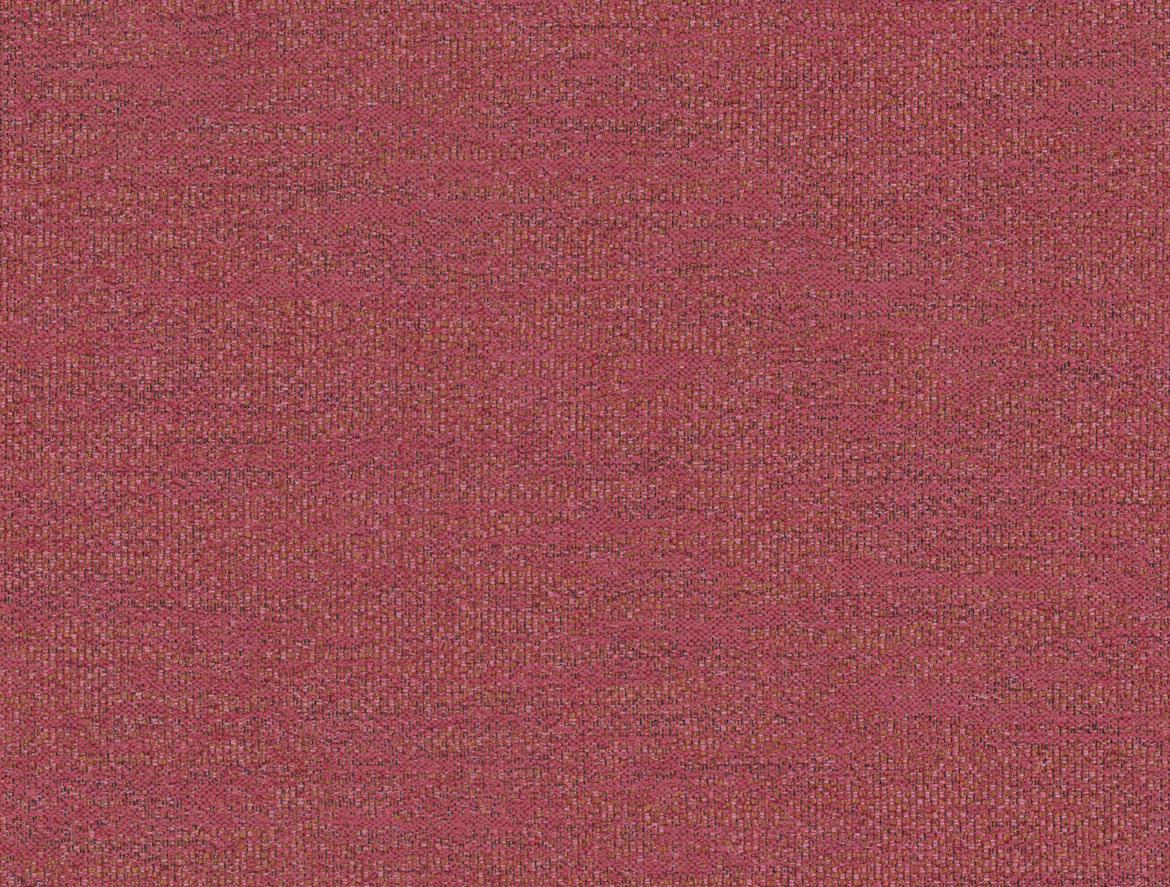 Tinto – 434