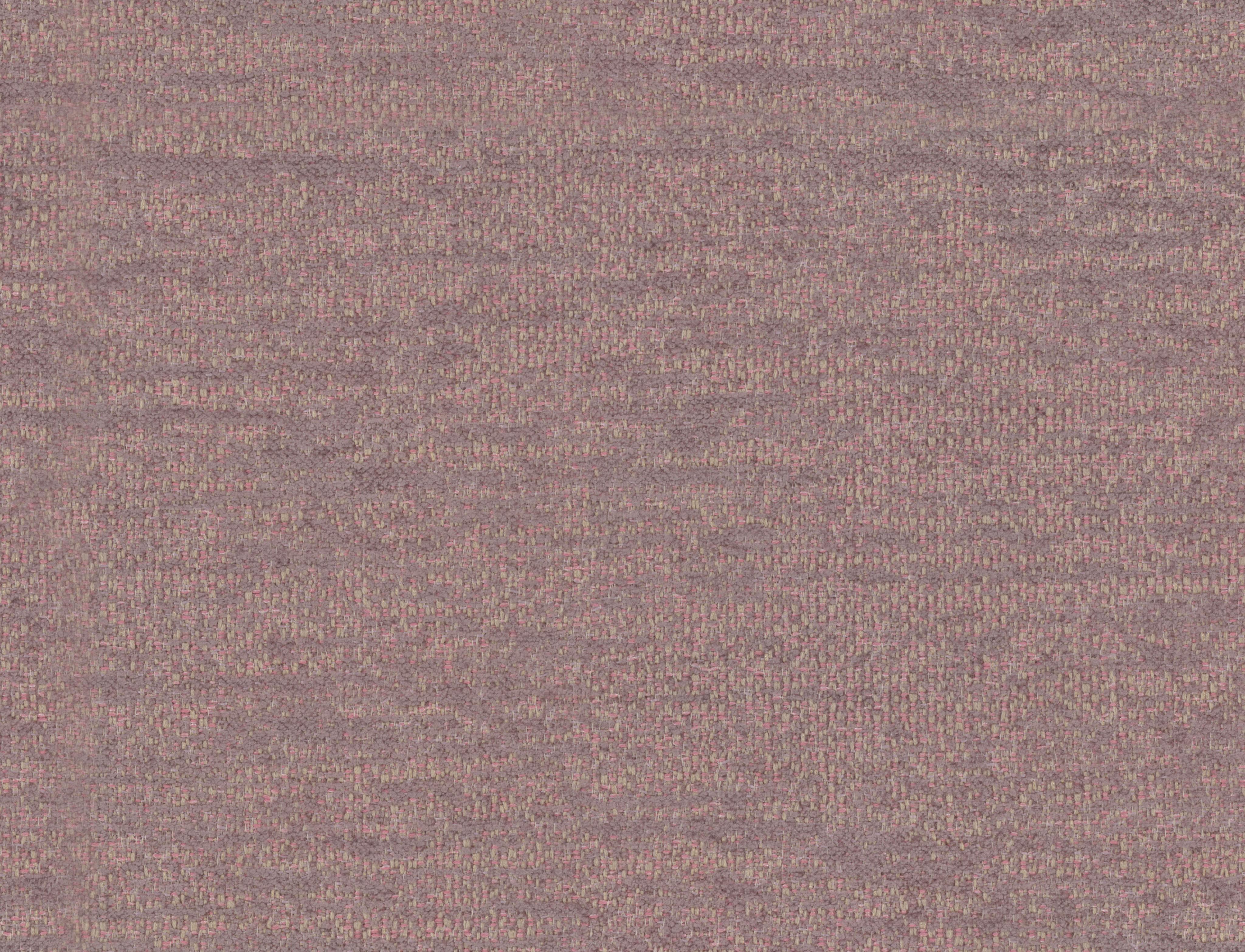 Tinto – 443