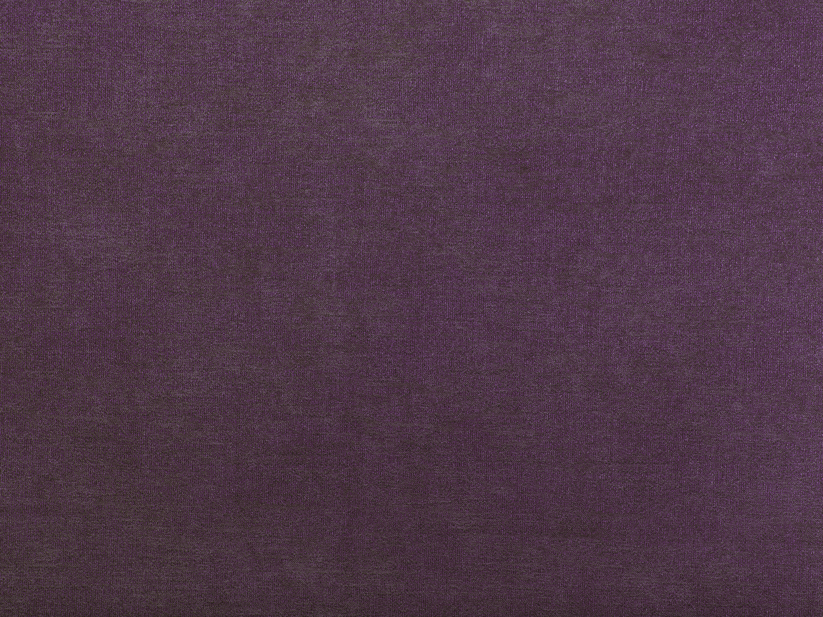 Tinto – 446