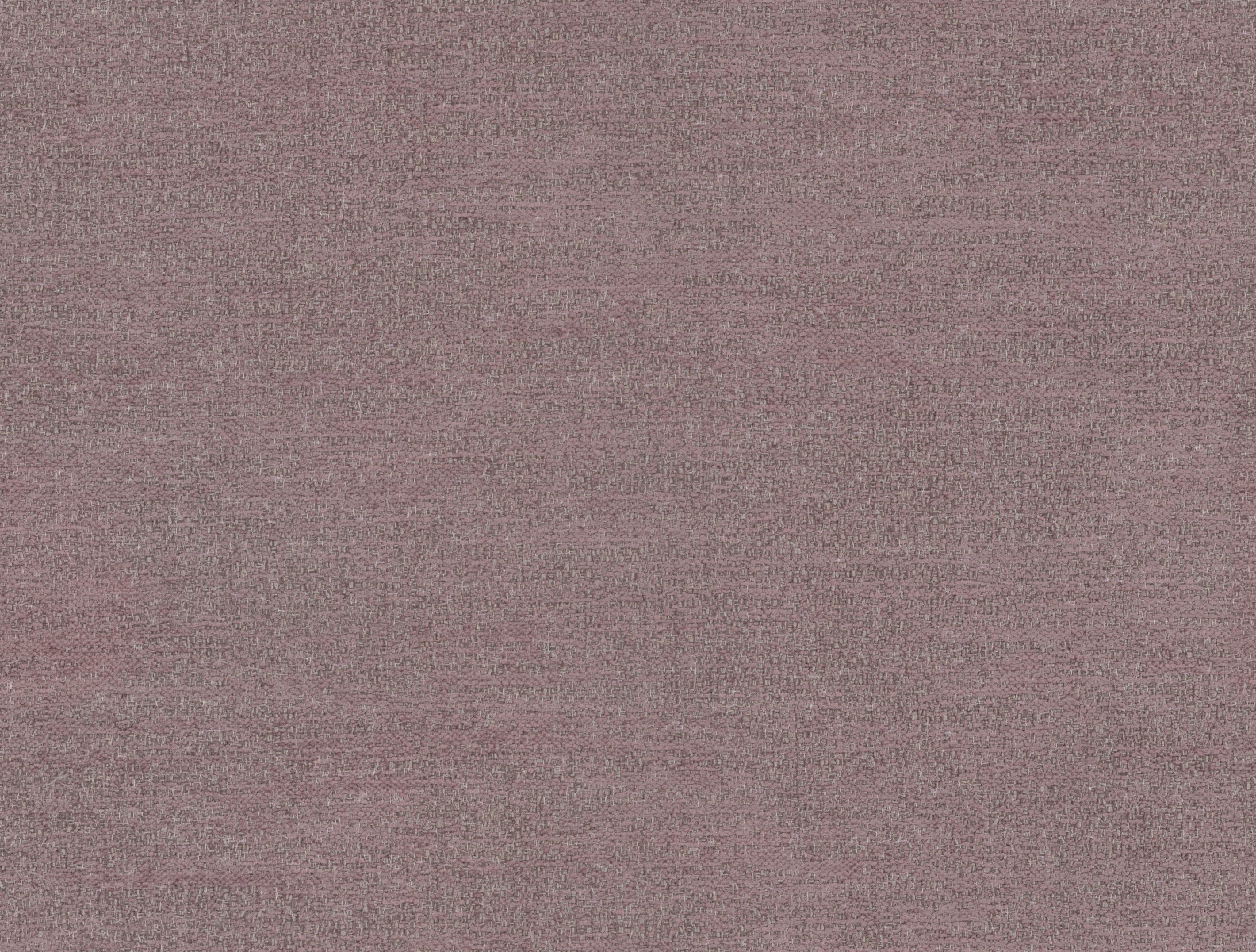Tinto – 493