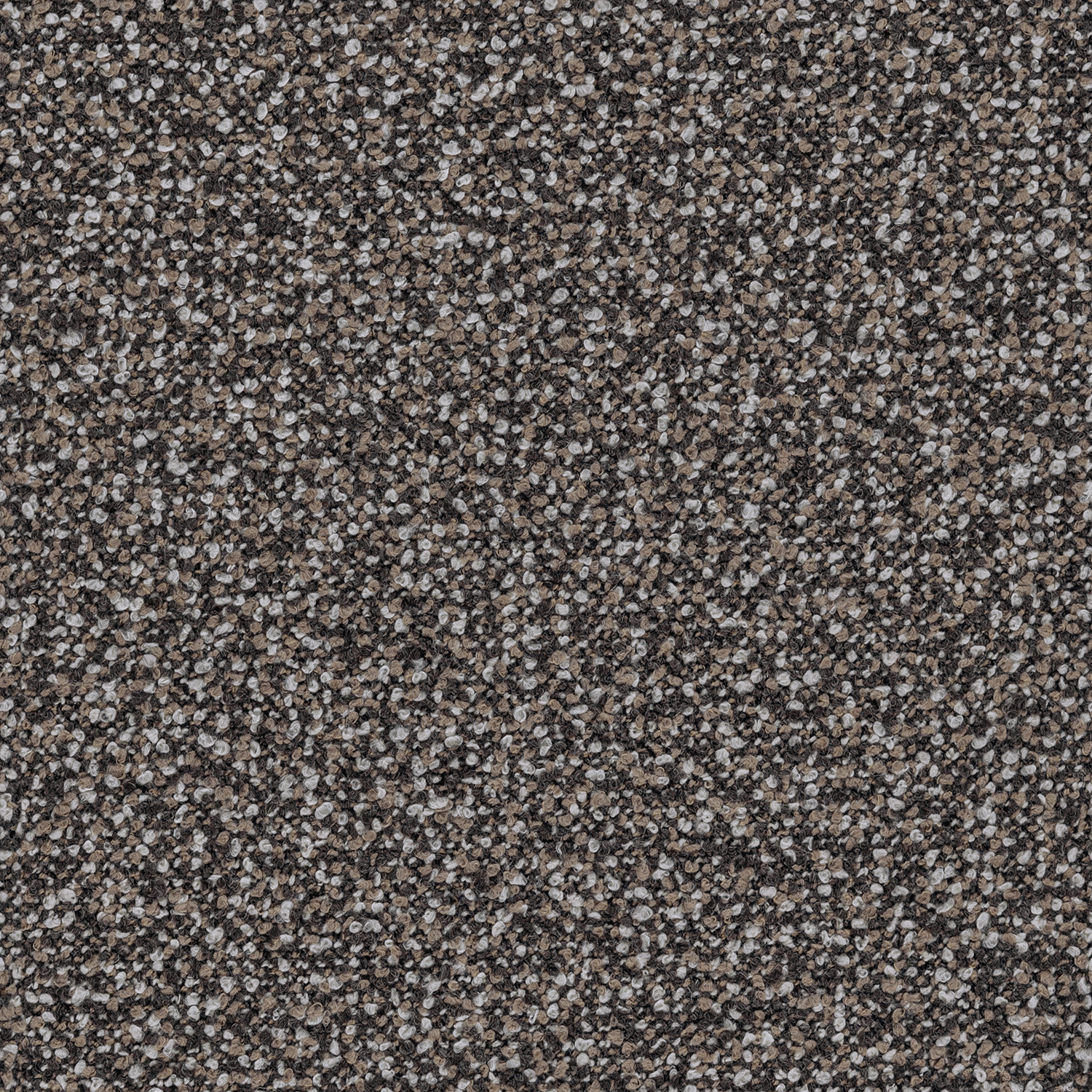 Comfy Bouclé – 894