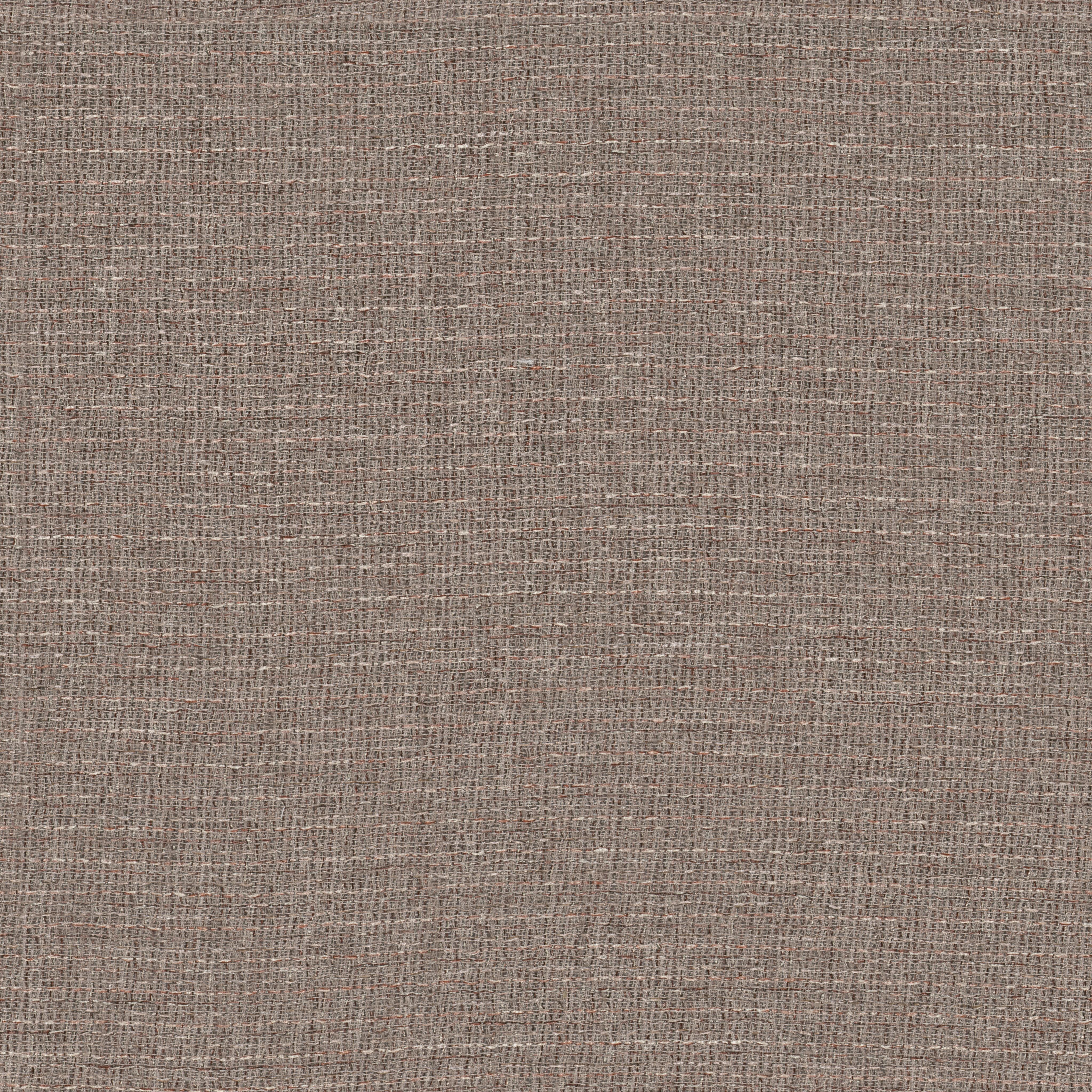 Lixus FR RE – 886