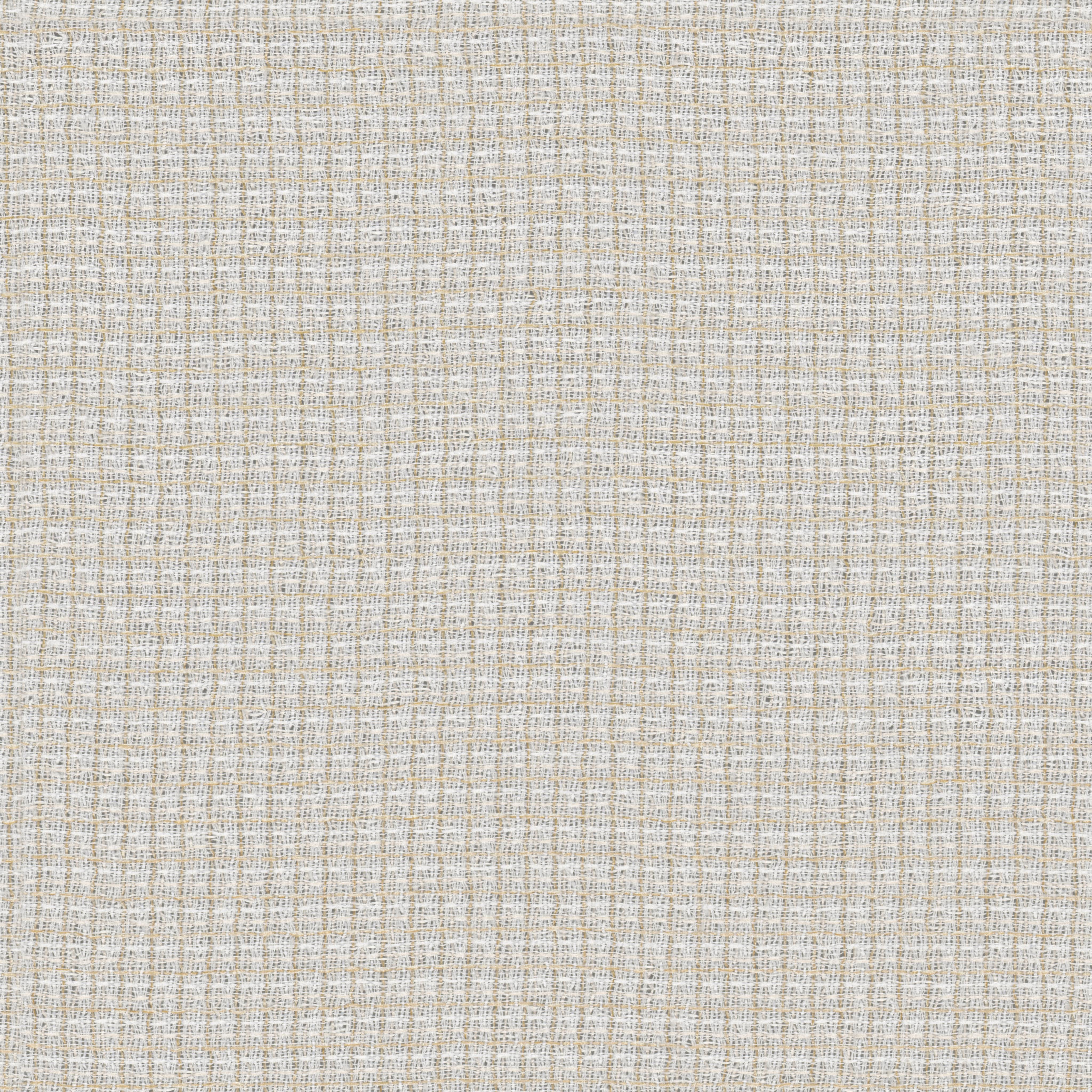Lixus FR RE – 891