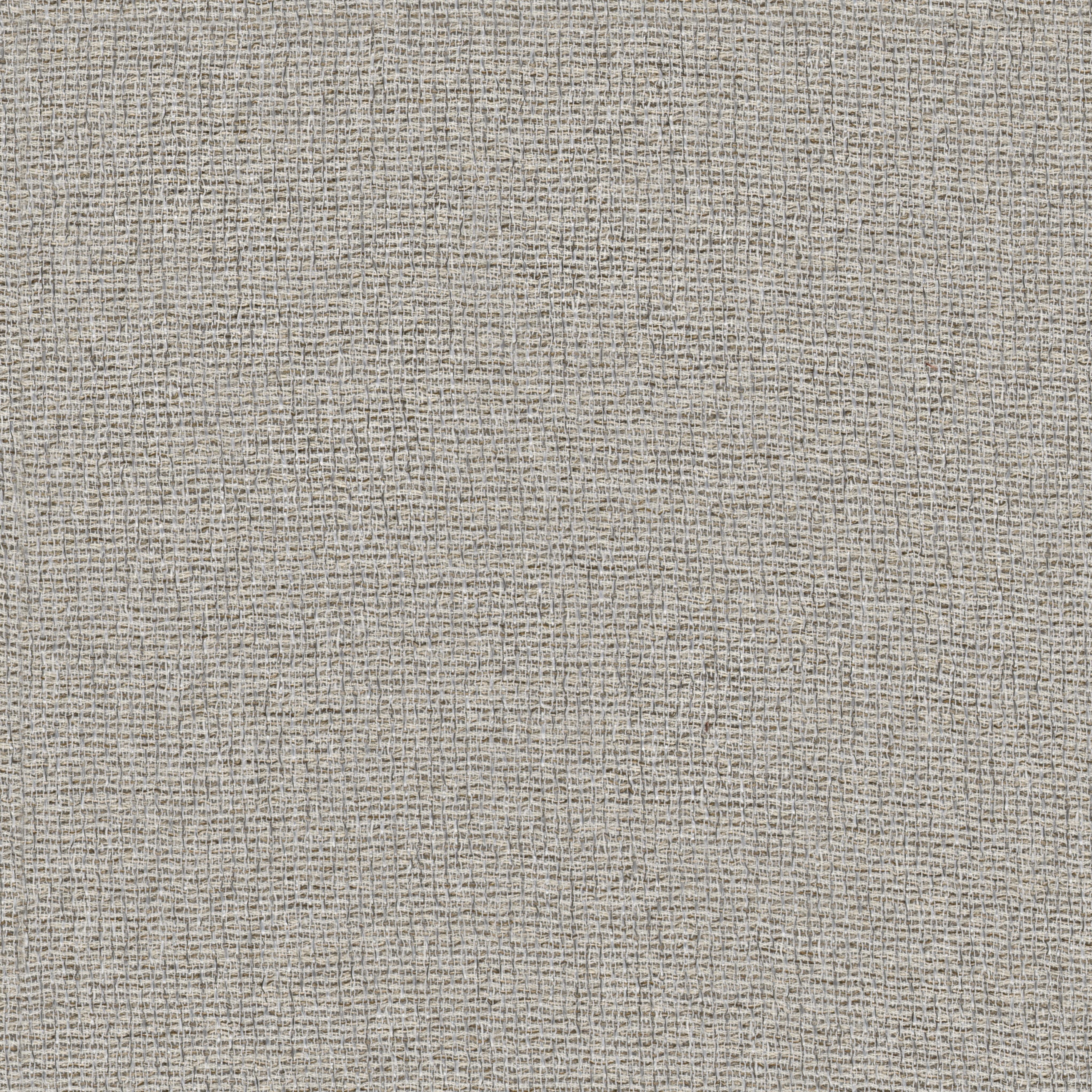 Lixus FR RE – 894