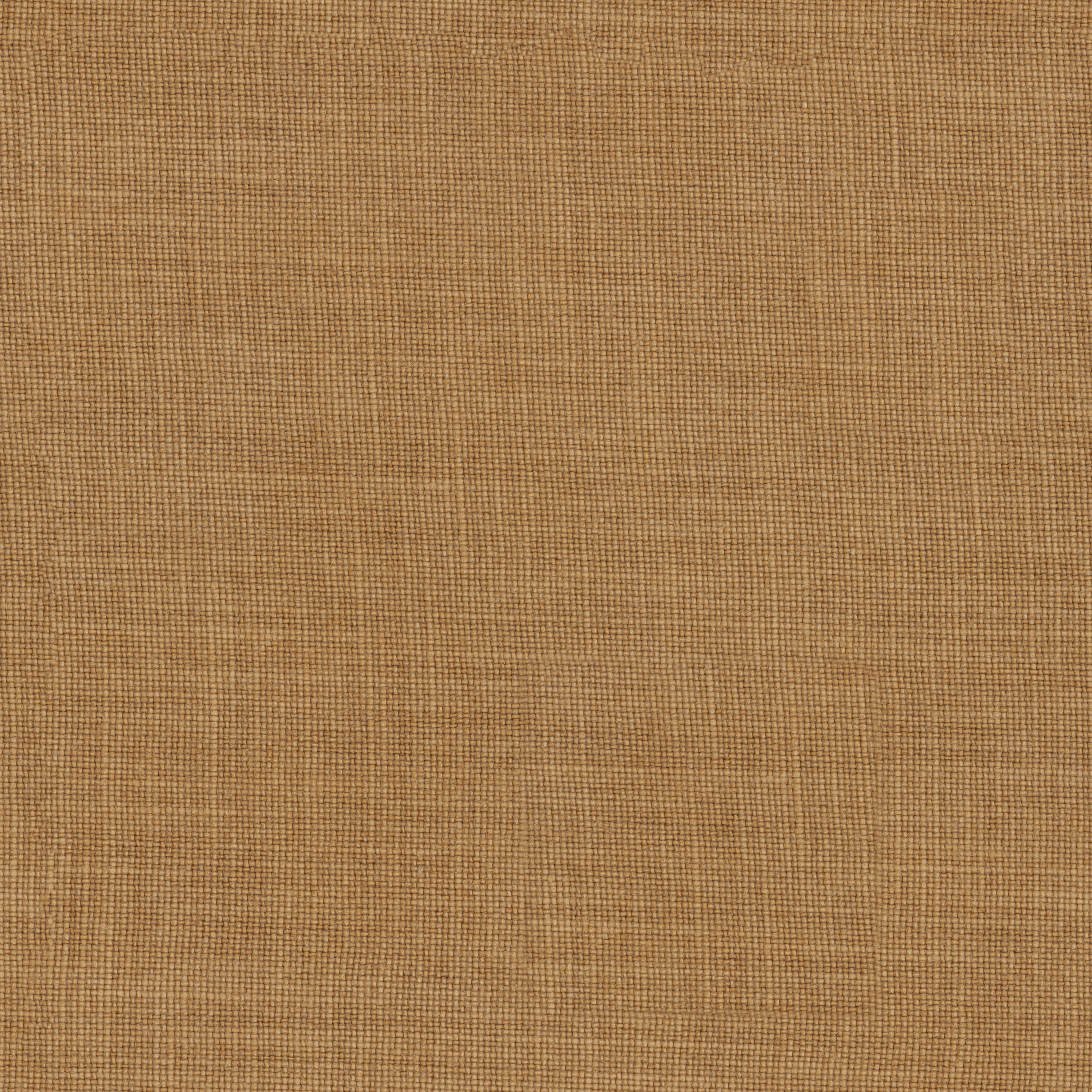 Joni RE – 185