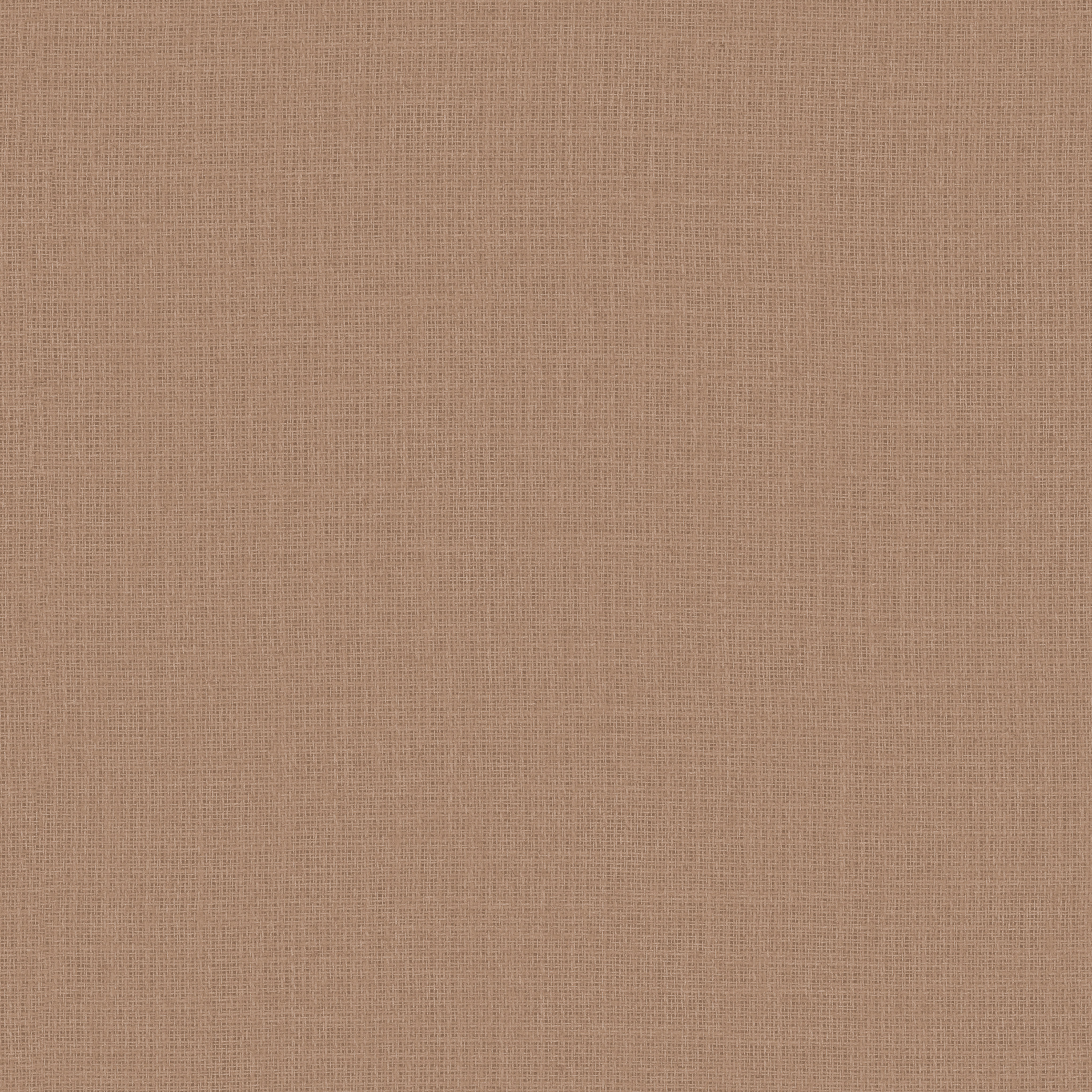 Louie RE – 324