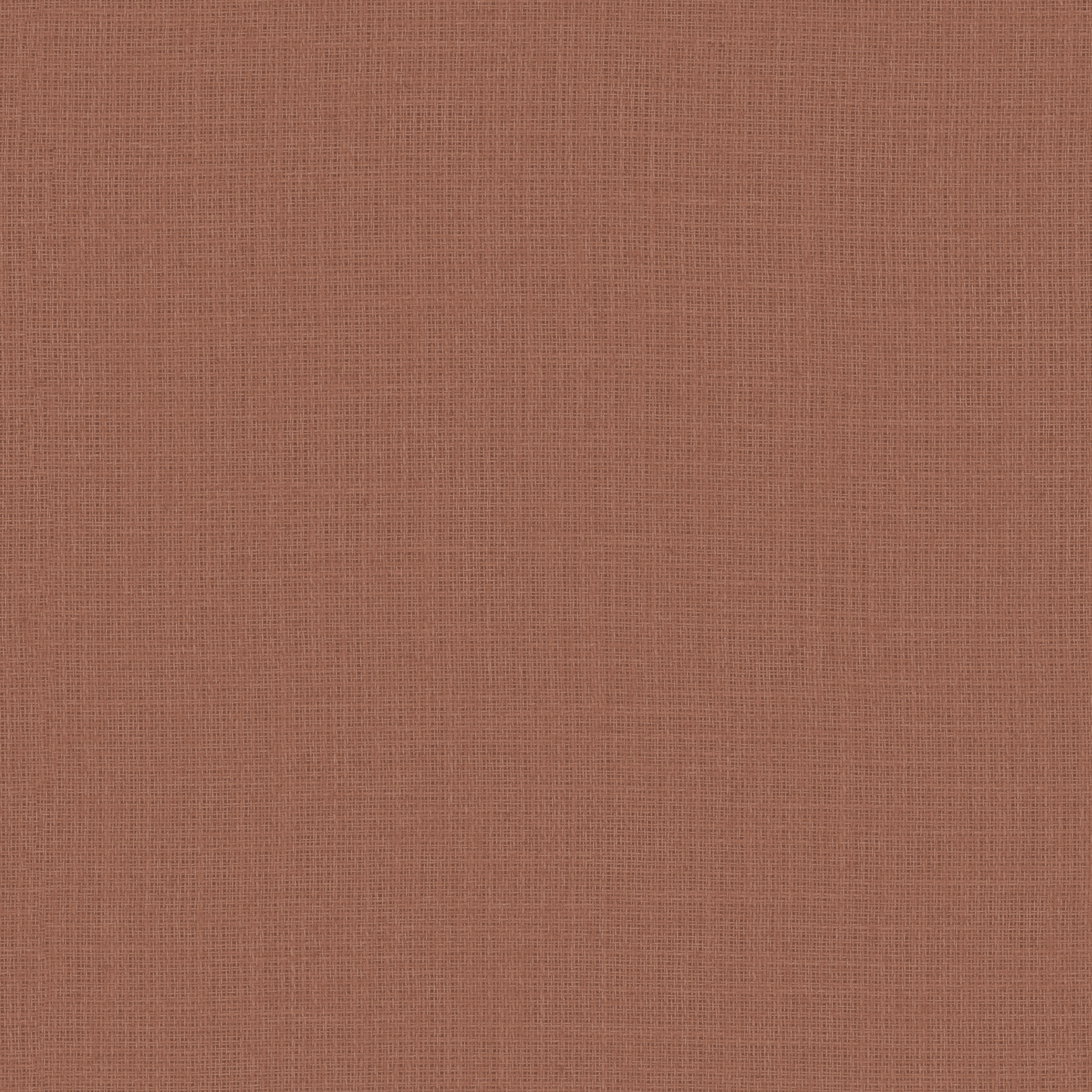 Louie RE – 386