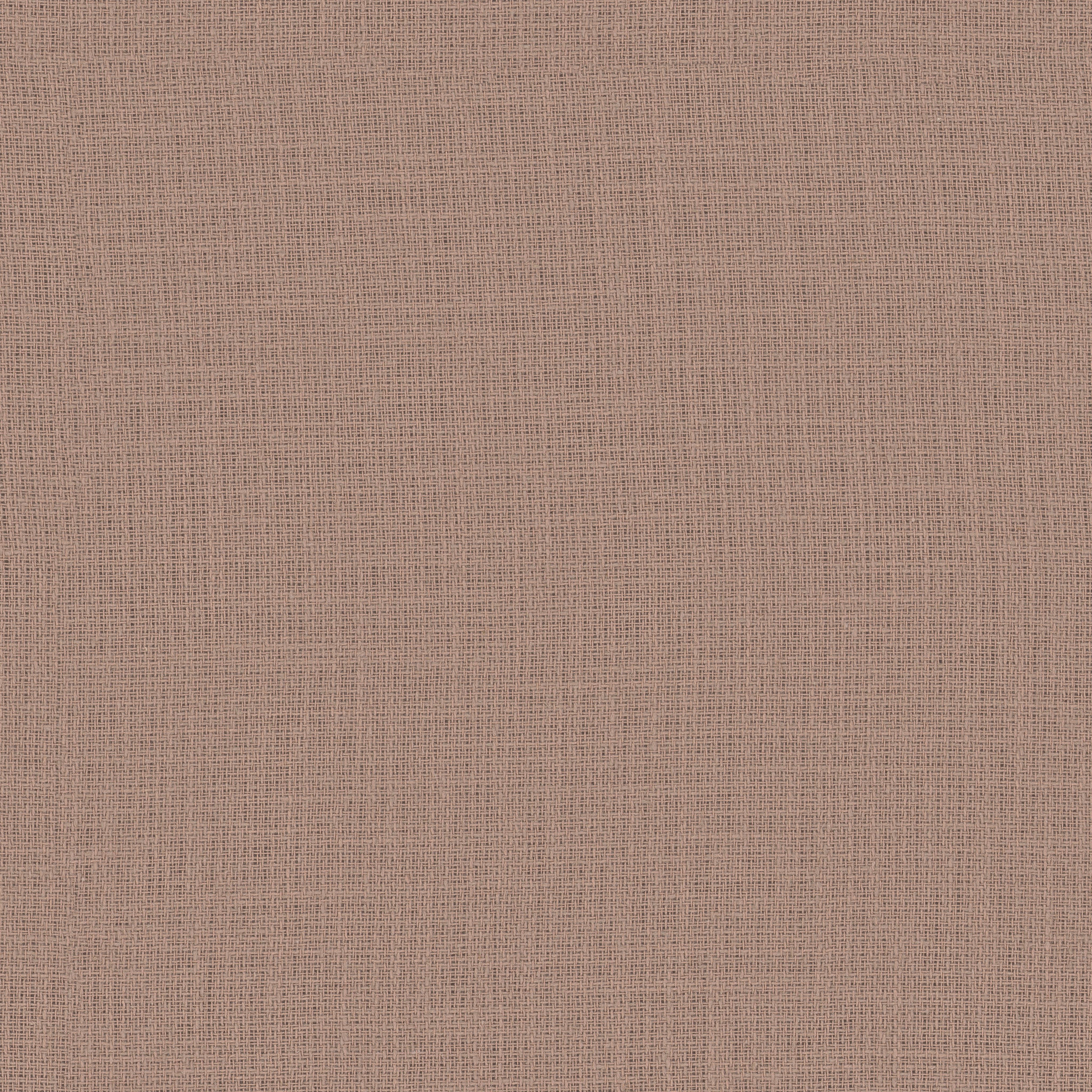 Louie RE – 494