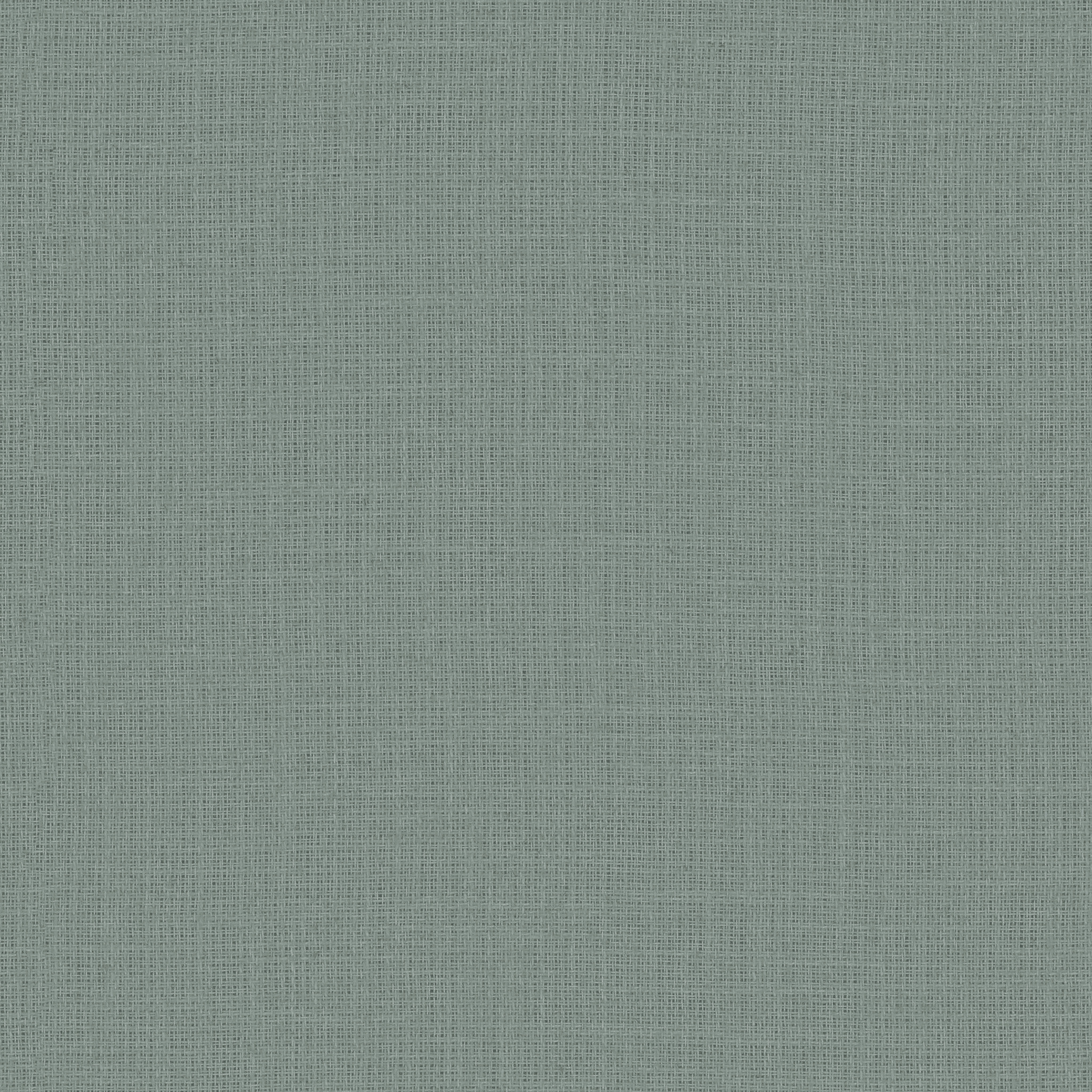 Louie RE – 665