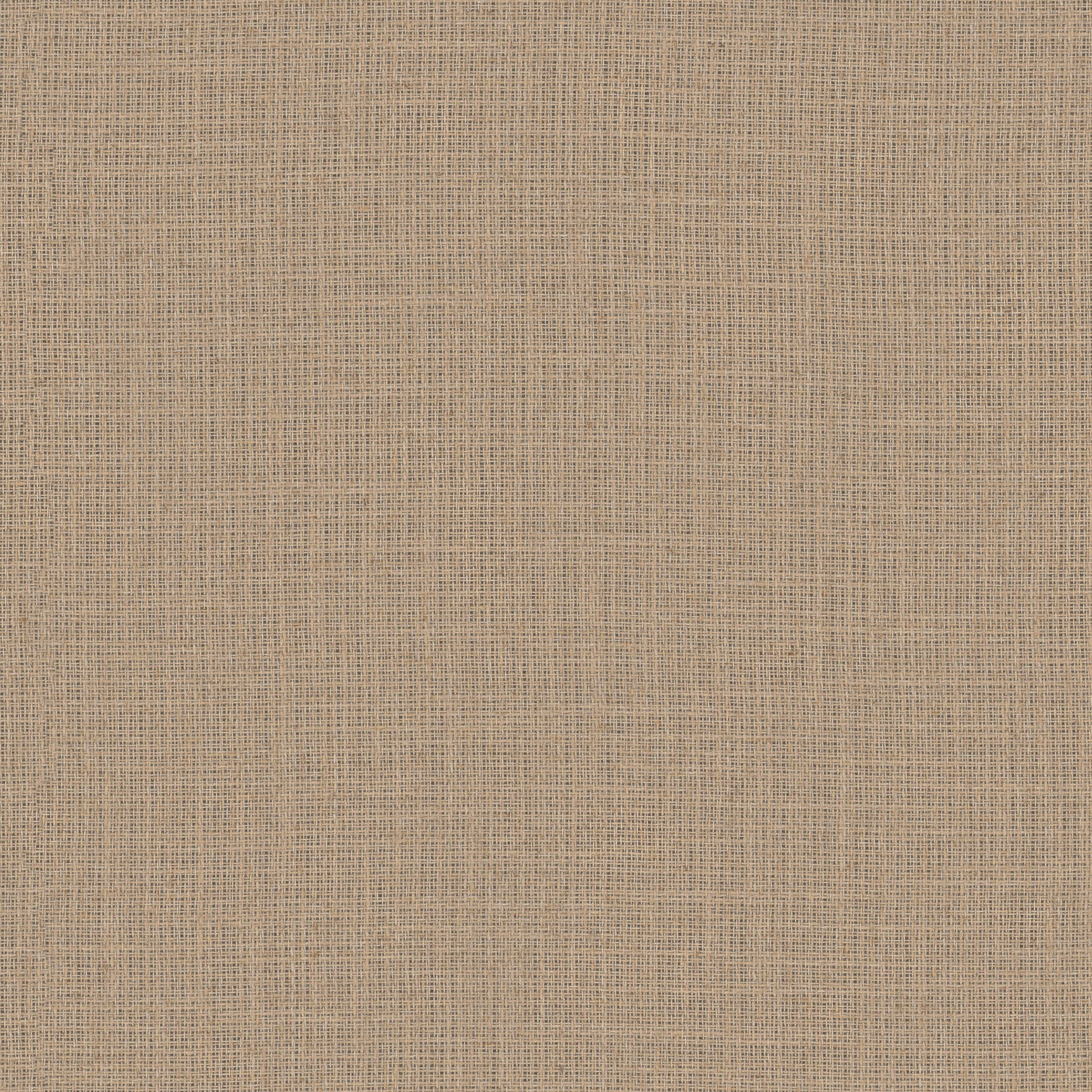 Louie RE – 834