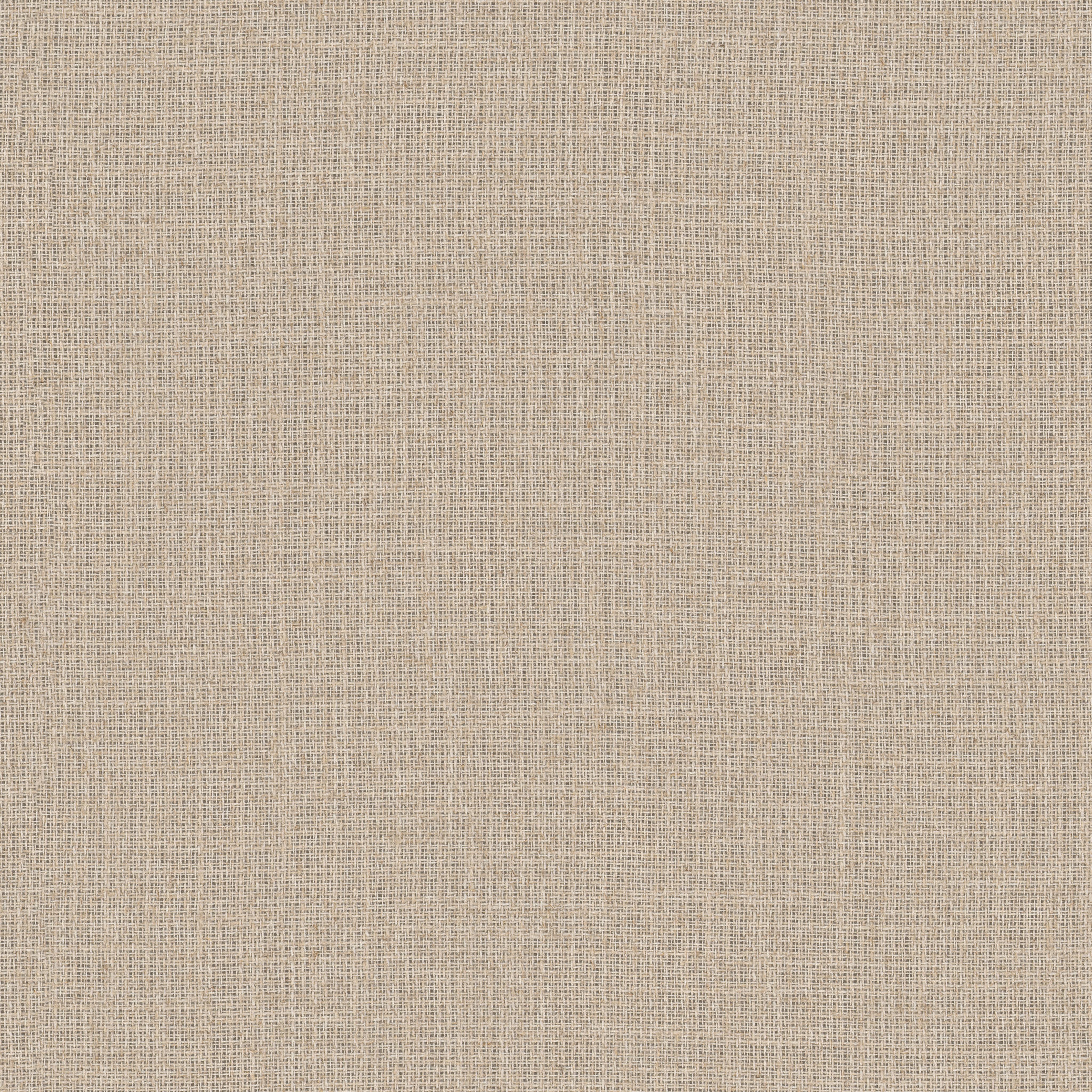 Louie RE – 882