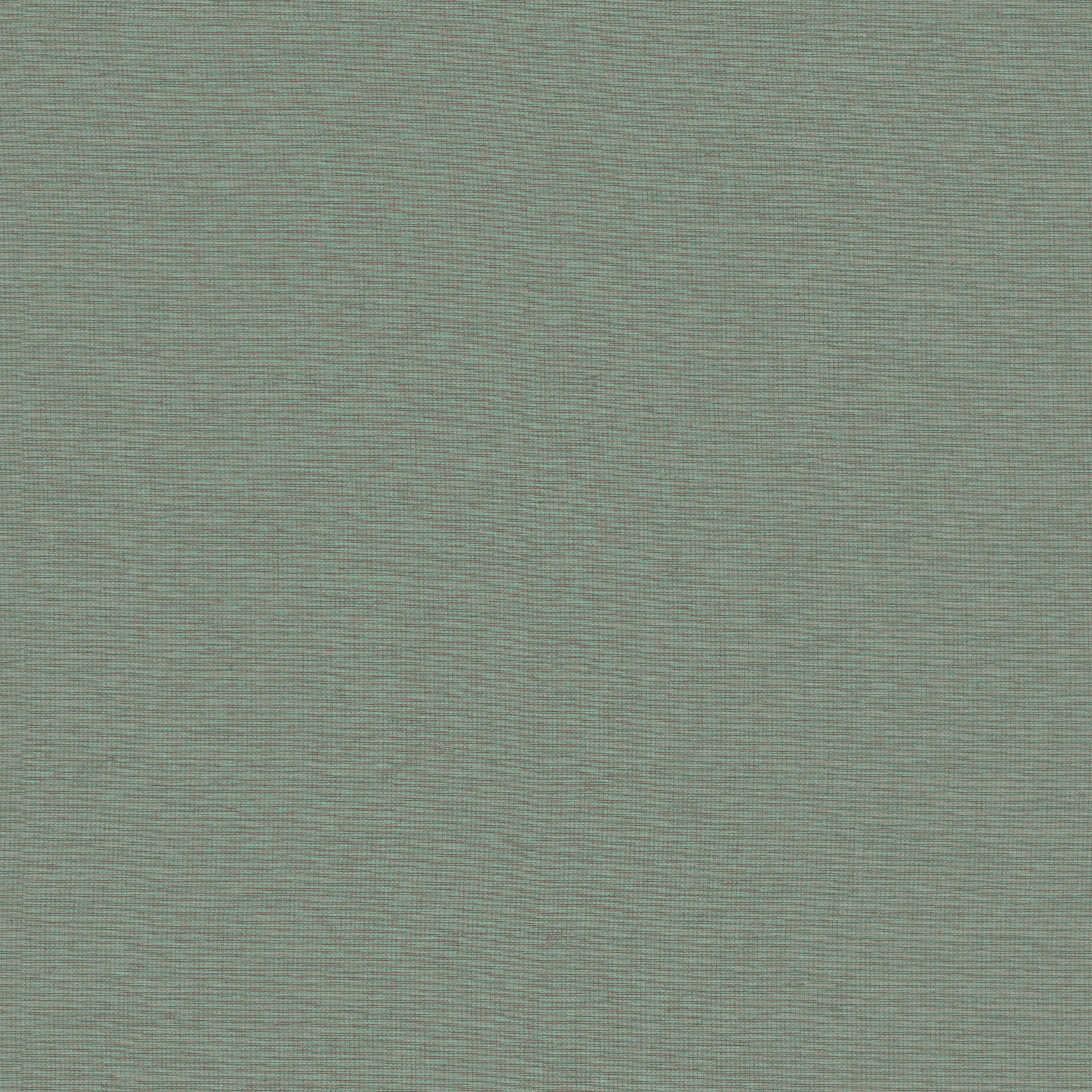 Bela – 674