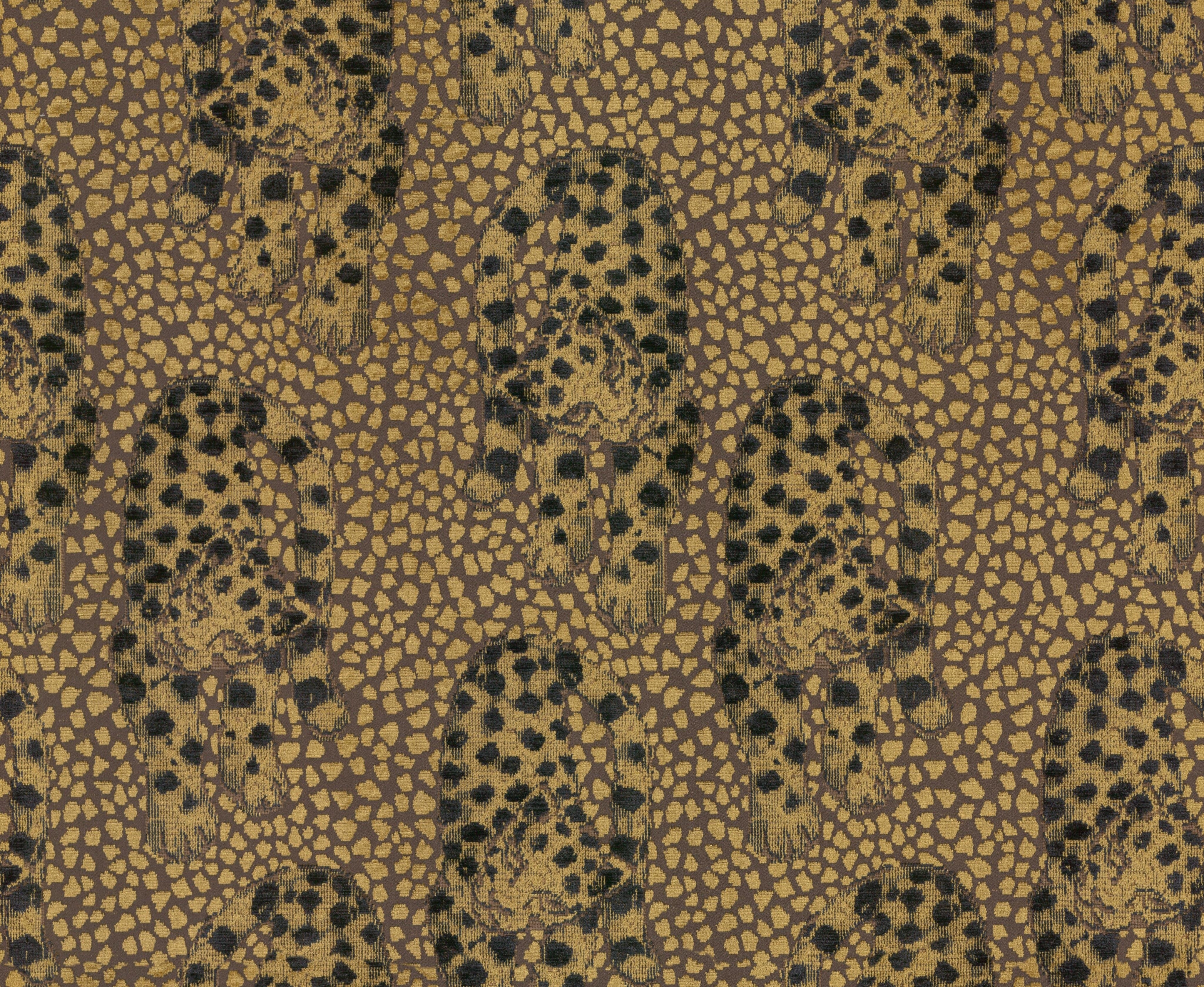 Leopardo – 197