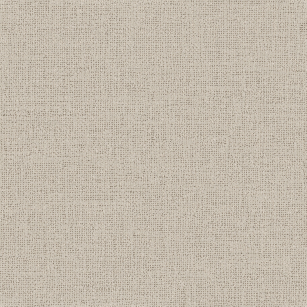 Meringue – 381