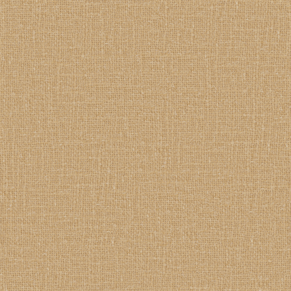 Meringue – 443