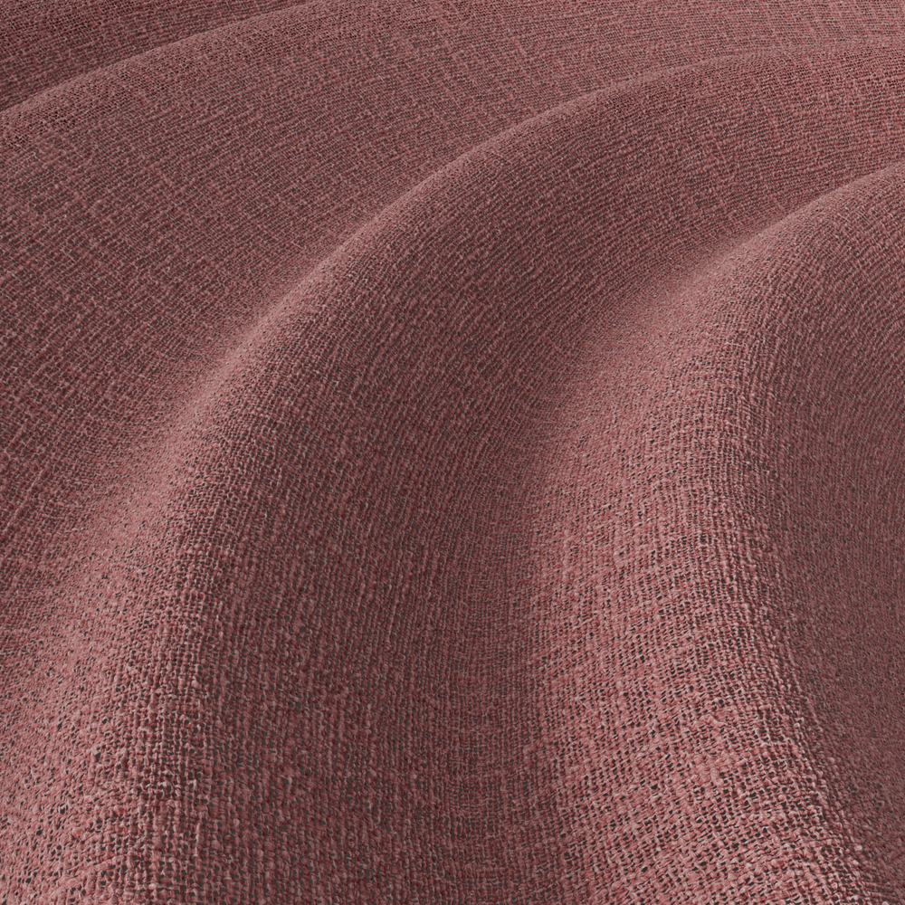 Meringue – 553