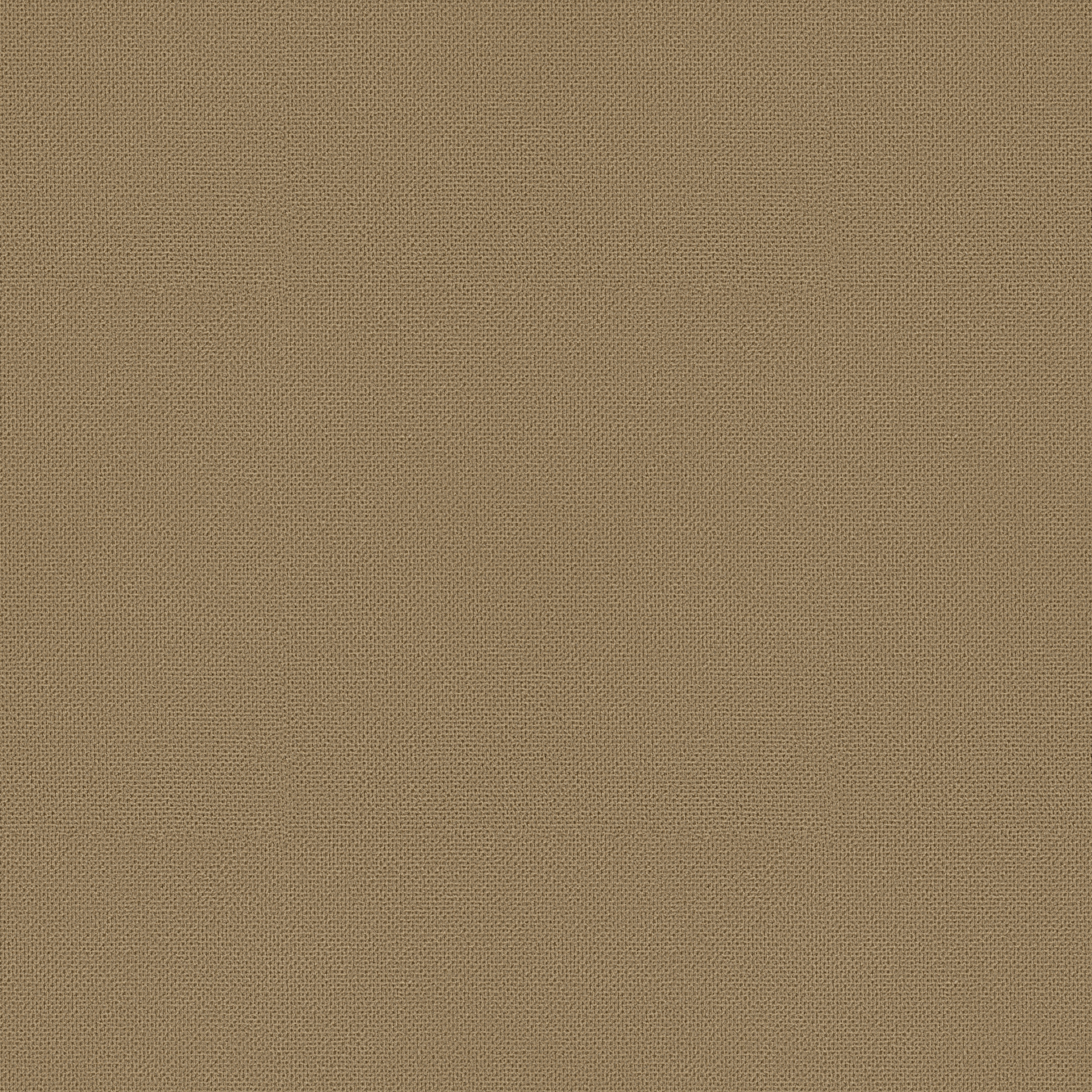 Good Mood Blackout FR - 773