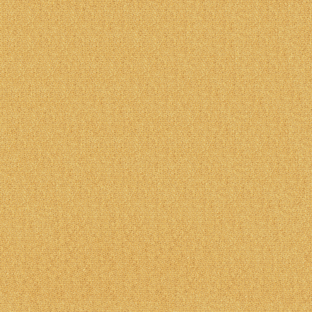 So Biscuit RE – 443