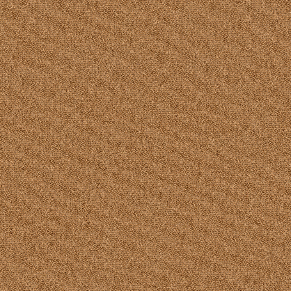 So Biscuit RE – 545