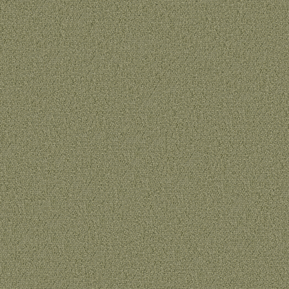 So Biscuit RE – 884