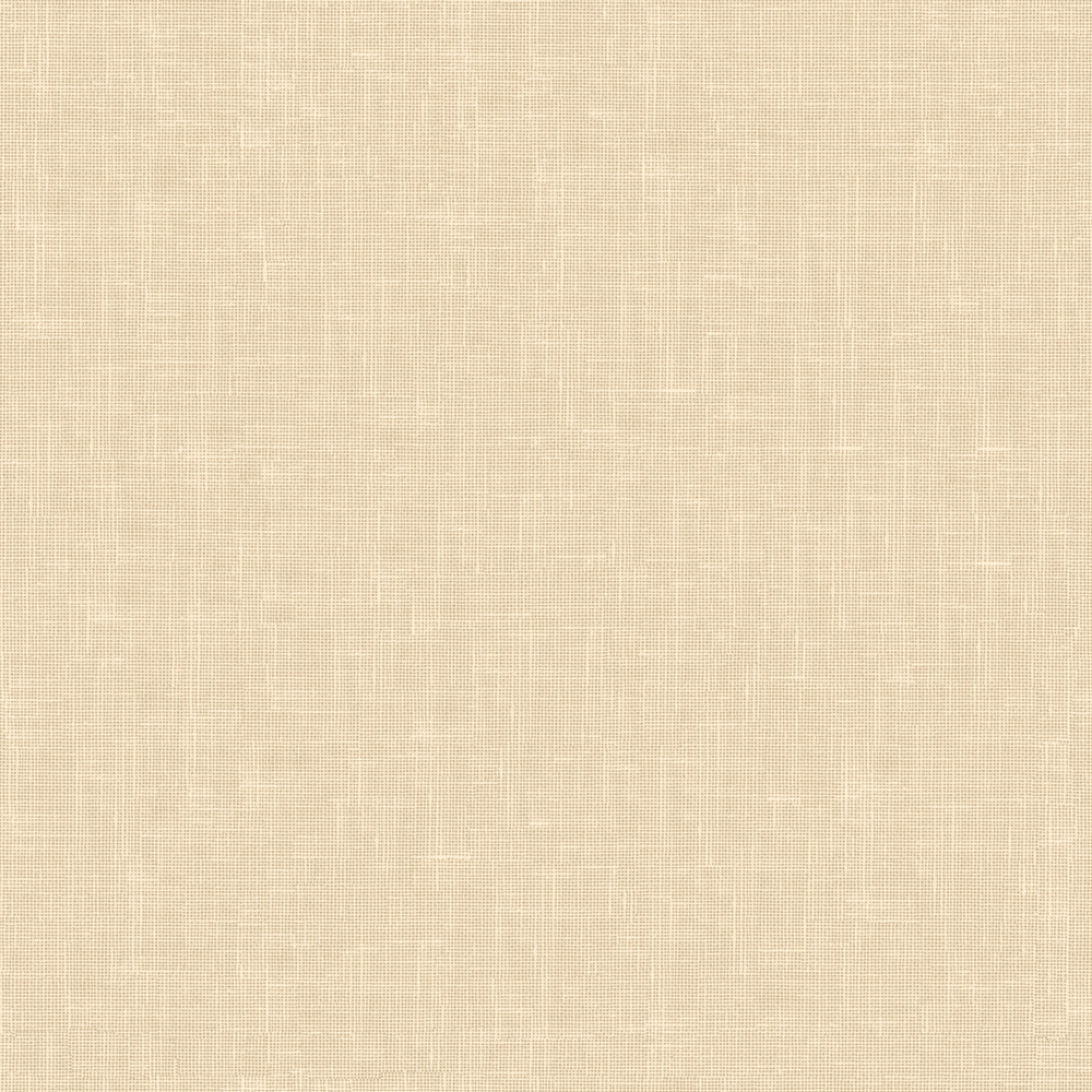 Sesame FR RE – 131