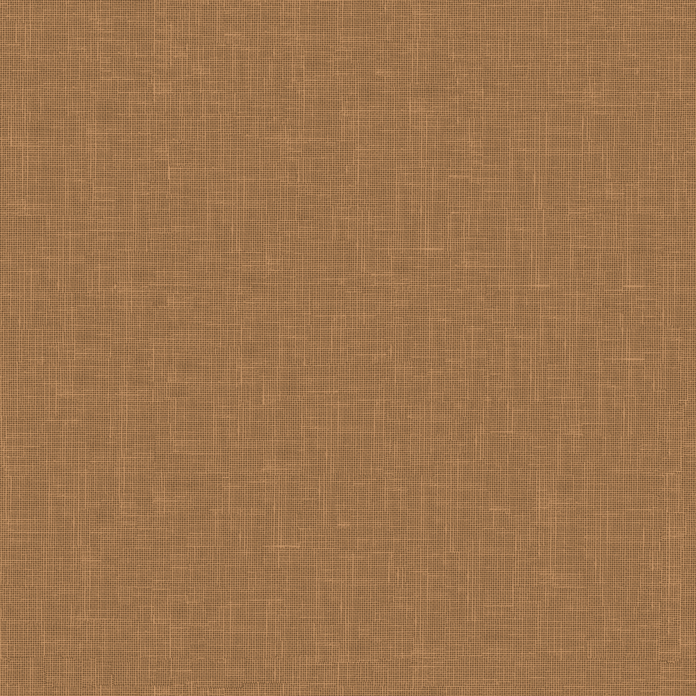 Sesame FR RE – 543