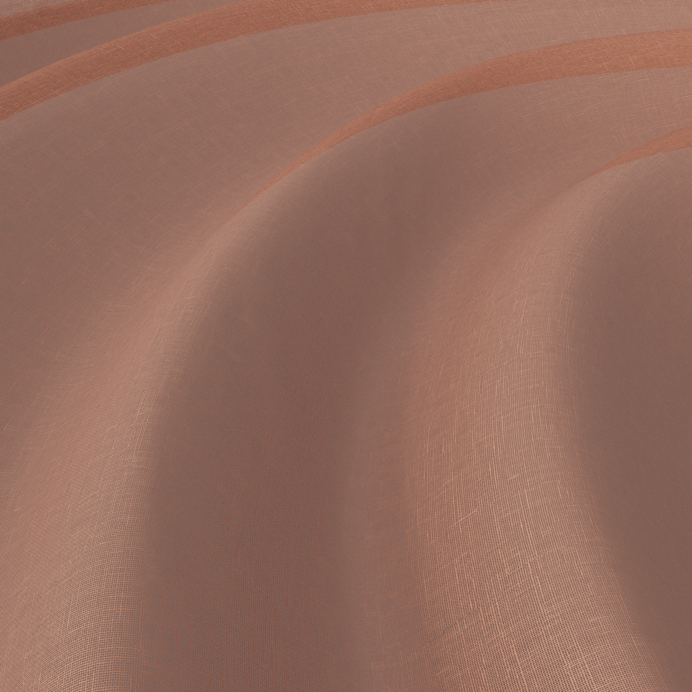 Sesame FR RE – 554
