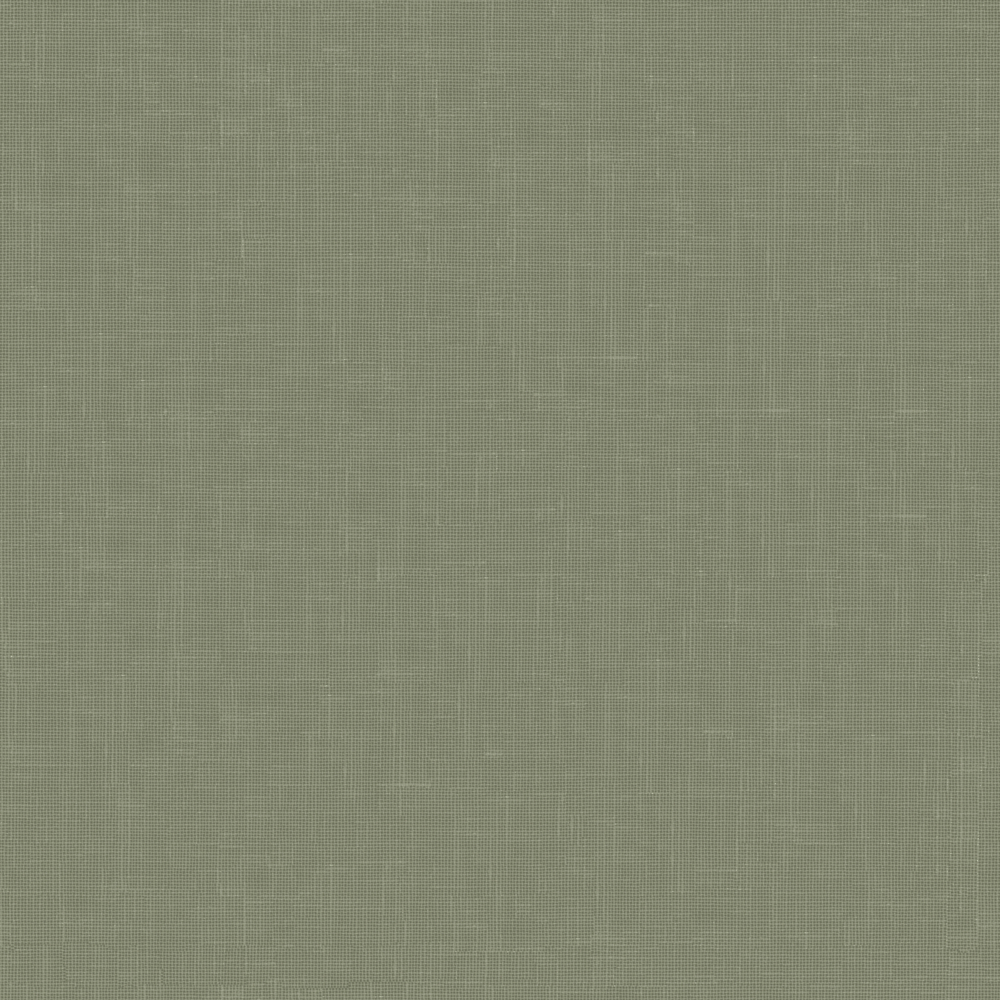 Sesame FR RE – 884